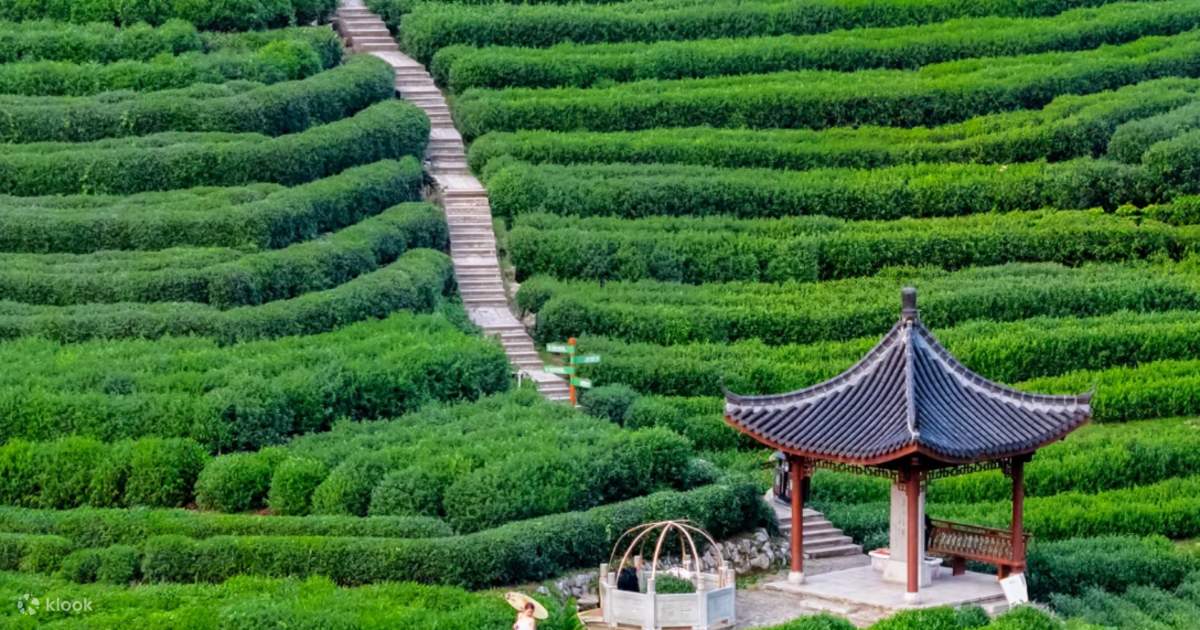 景点图片